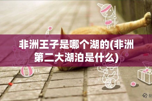 非洲王子是哪個湖的(非洲第二大湖泊是什么)