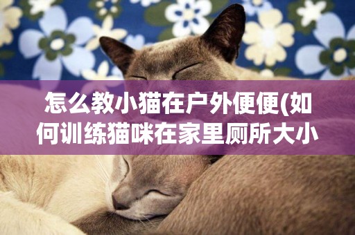 怎么教小貓在戶外便便(如何訓練貓咪在家里廁所大小便)