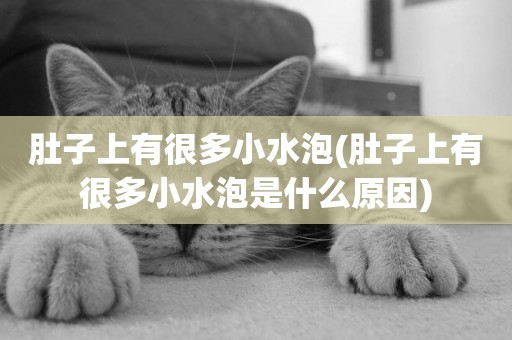 肚子上有很多小水泡(肚子上有很多小水泡是什么原因)