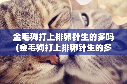 金毛狗打上排卵針生的多嗎(金毛狗打上排卵針生的多嗎有影響嗎)