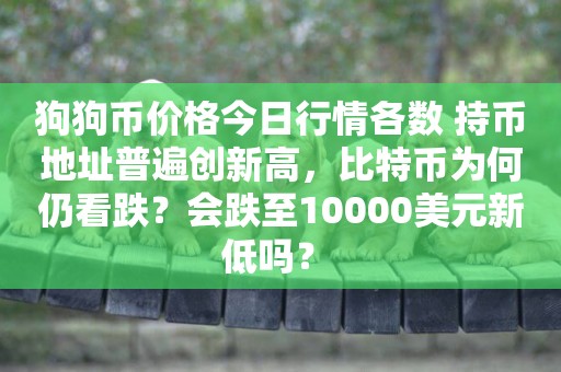 狗狗幣價格今日行情各數 持幣地址普遍創新高，比特幣為何仍看跌？會跌至10000美元新低嗎？ 