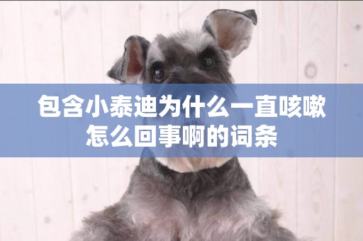 包含小泰迪為什么一直咳嗽怎么回事啊的詞條