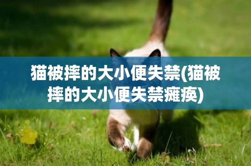貓被摔的大小便失禁(貓被摔的大小便失禁癱瘓)