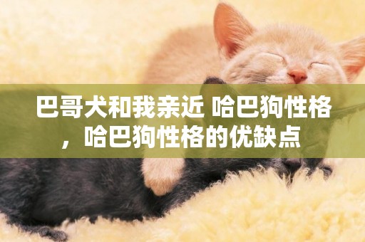 巴哥犬和我親近 哈巴狗性格，哈巴狗性格的優缺點 