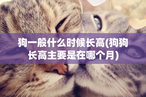 狗一般什么時候長高(狗狗長高主要是在哪個月)