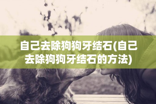 自己去除狗狗牙結石(自己去除狗狗牙結石的方法)