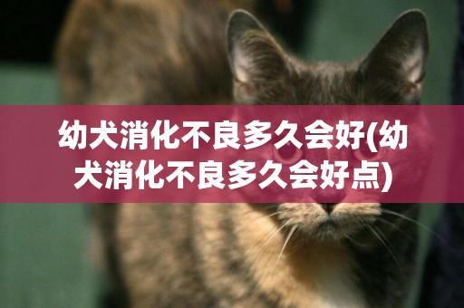 幼犬消化不良多久會好(幼犬消化不良多久會好點)