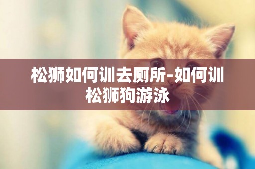 松獅如何訓去廁所-如何訓松獅狗游泳
