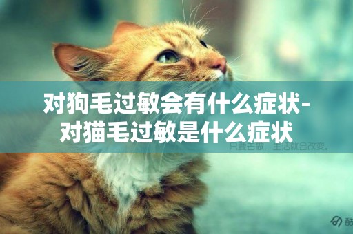 對狗毛過敏會有什么癥狀-對貓毛過敏是什么癥狀