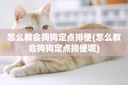 怎么教會狗狗定點排便(怎么教會狗狗定點排便呢)