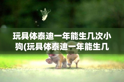玩具體泰迪一年能生幾次小狗(玩具體泰迪一年能生幾次小狗啊)
