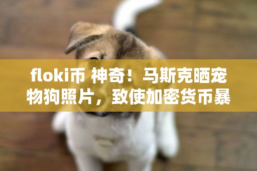 floki幣 神奇！馬斯克曬寵物狗照片，致使加密貨幣暴漲35倍 