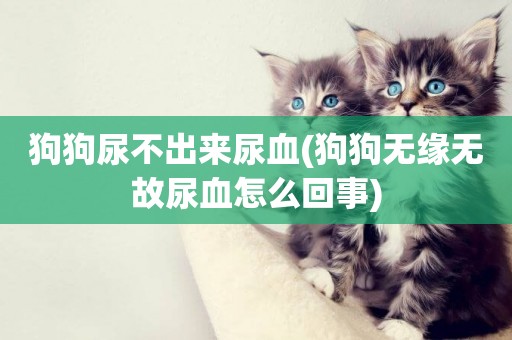 狗狗尿不出來尿血(狗狗無緣無故尿血怎么回事)