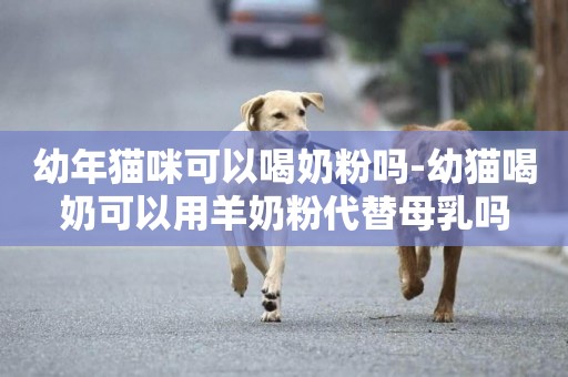 幼年貓咪可以喝奶粉嗎-幼貓喝奶可以用羊奶粉代替母乳嗎