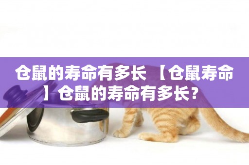 倉鼠的壽命有多長 【倉鼠壽命】倉鼠的壽命有多長？ 