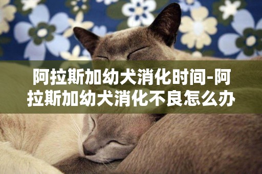 阿拉斯加幼犬消化時間-阿拉斯加幼犬消化不良怎么辦