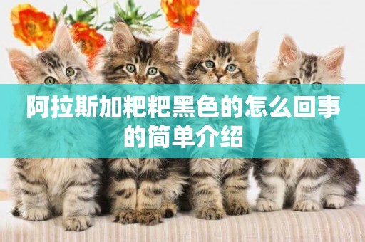 阿拉斯加粑粑黑色的怎么回事的簡單介紹