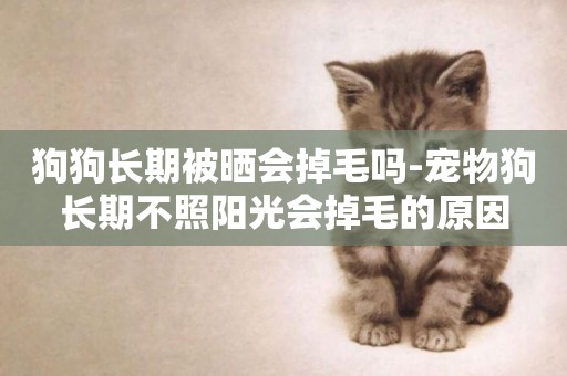狗狗長期被曬會掉毛嗎-寵物狗長期不照陽光會掉毛的原因