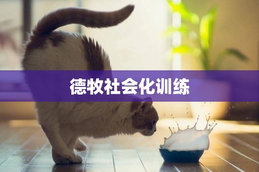 德牧社會化訓練