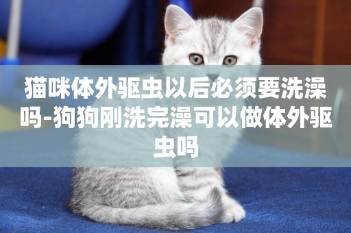 貓咪體外驅蟲以后必須要洗澡嗎-狗狗剛洗完澡可以做體外驅蟲嗎