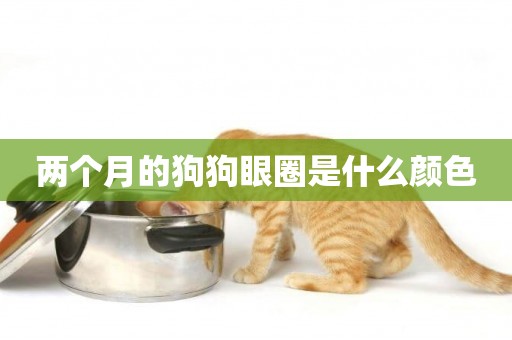兩個月的狗狗眼圈是什么顏色