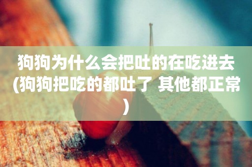 狗狗為什么會把吐的在吃進去(狗狗把吃的都吐了 其他都正常)