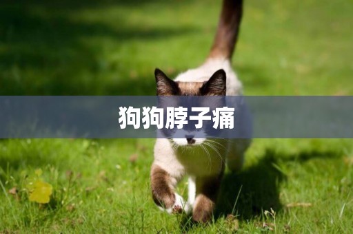 狗狗脖子痛