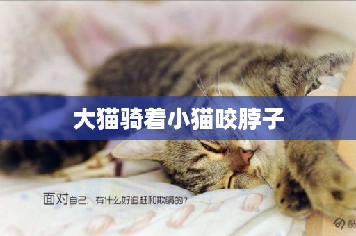 大貓騎著小貓咬脖子