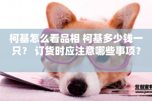 柯基怎么看品相 柯基多少錢一只？ 訂貨時應注意哪些事項？ 