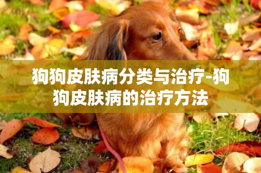 狗狗皮膚病分類與治療-狗狗皮膚病的治療方法