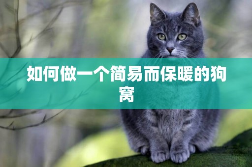 如何做一個簡易而保暖的狗窩