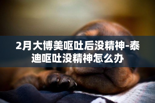 2月大博美嘔吐后沒精神-泰迪嘔吐沒精神怎么辦