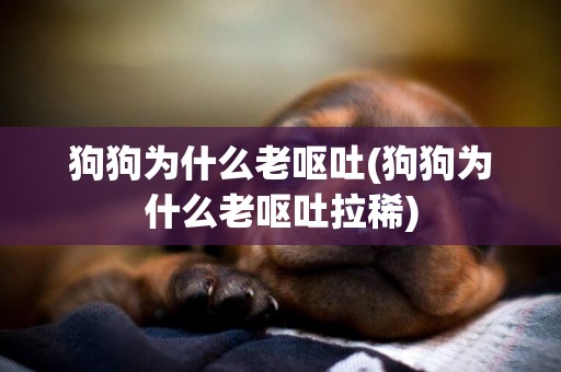 狗狗為什么老嘔吐(狗狗為什么老嘔吐拉稀)