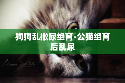 狗狗亂撒尿絕育-公貓絕育后亂尿