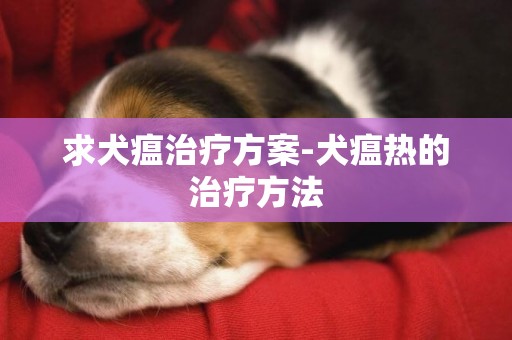求犬瘟治療方案-犬瘟熱的治療方法