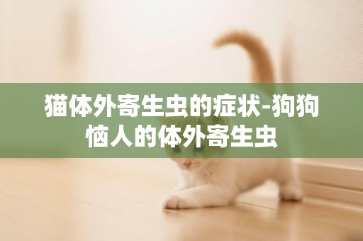 貓體外寄生蟲的癥狀-狗狗惱人的體外寄生蟲