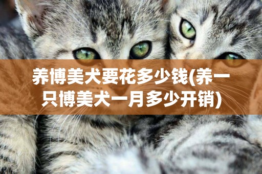 養博美犬要花多少錢(養一只博美犬一月多少開銷)