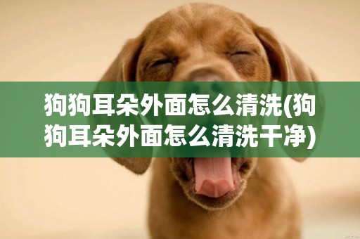 狗狗耳朵外面怎么清洗(狗狗耳朵外面怎么清洗干凈)