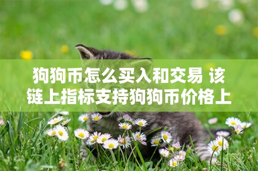 狗狗幣怎么買入和交易 該鏈上指標支持狗狗幣價格上漲 50% 