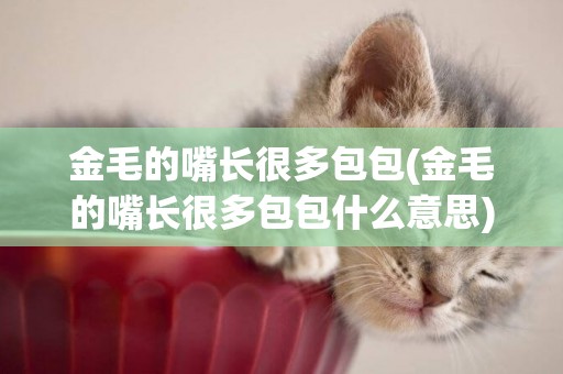金毛的嘴長很多包包(金毛的嘴長很多包包什么意思)