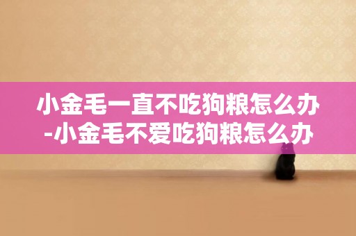 小金毛一直不吃狗糧怎么辦-小金毛不愛吃狗糧怎么辦