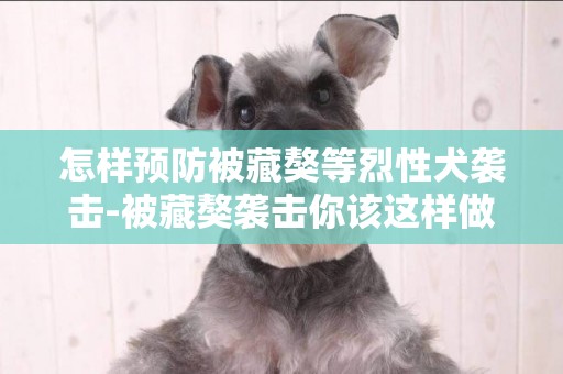 怎樣預防被藏獒等烈性犬襲擊-被藏獒襲擊你該這樣做