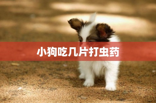 小狗吃幾片打蟲藥