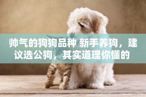 帥氣的狗狗品種 新手養狗，建議選公狗，其實道理你懂的 