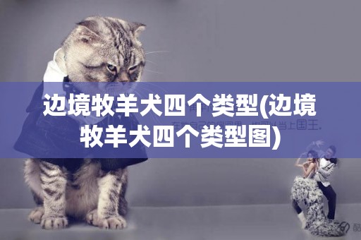 邊境牧羊犬四個類型(邊境牧羊犬四個類型圖)