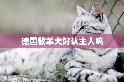 德國牧羊犬好認主人嗎