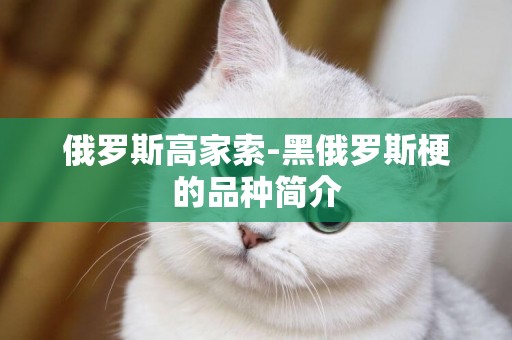 俄羅斯高家索-黑俄羅斯梗的品種簡介