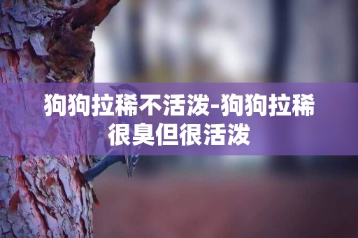 狗狗拉稀不活潑-狗狗拉稀很臭但很活潑