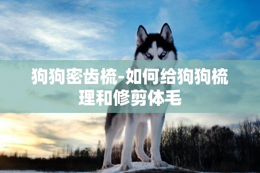 狗狗密齒梳-如何給狗狗梳理和修剪體毛