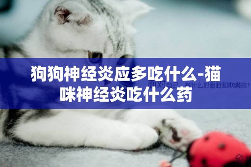 狗狗神經炎應多吃什么-貓咪神經炎吃什么藥